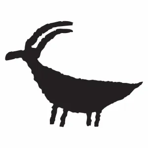 Boat-Body Sheep