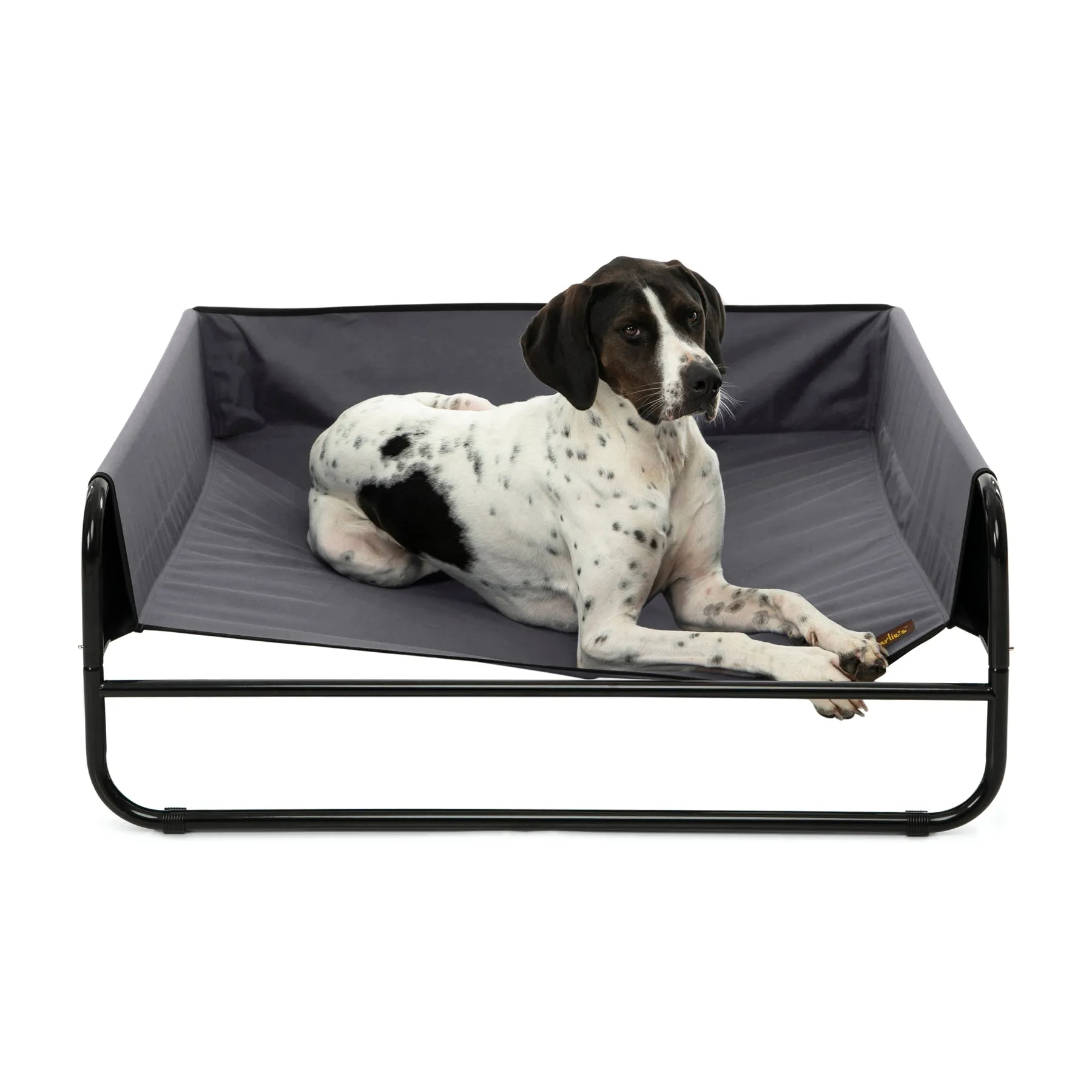 Charlie's High Walled Outdoor Trampoline Dog Bed Grey Large