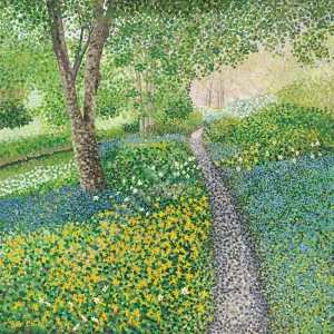 Daffodil Walk Limited Edition Print